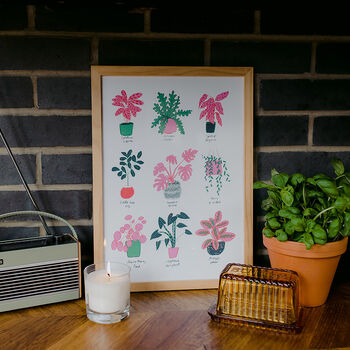 Houseplant Collection Print, 3 of 4