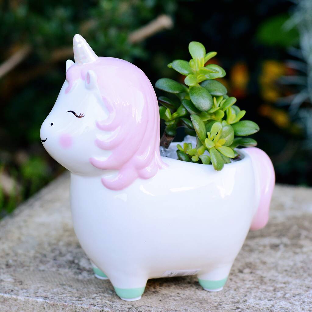 Unicorn Planter With Choice Of Plants, 1 of 7