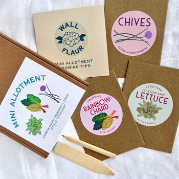 Grow Your Own Mini Allotment Seed Gift Kit, 5 of 7