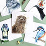 Water Wildlife Collection Blank Greeting Card Pack, thumbnail 3 of 7