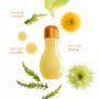 Mimosa Fragrance Oil 10ml, thumbnail 3 of 4