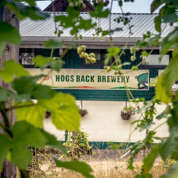 Hogs Back Brewery Gardeners Tipple Beer Gift Set, 2 of 4