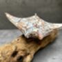 Multi Coloured Wooden Stingray On Teak Root Stand Gift, thumbnail 3 of 12