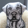 Labrador 'Molly Dog' Sofa Sculpture® Cushion, thumbnail 5 of 9