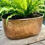 A Rectangular Indoor Planter With A Vintage Copper Finish, thumbnail 3 of 6