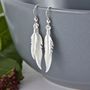 Silver Feather Earrings, thumbnail 3 of 8