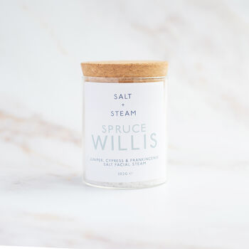 Spruce Willis Facial Steam, 2 of 2