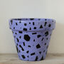 Faux Terrazzo Hand Painted Plant Pot, thumbnail 3 of 3