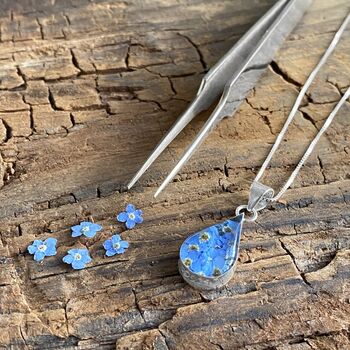 Forget Me Not Teardrop Necklace – Real Flowers, 2 of 12