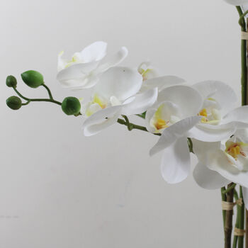 Luxury White Potted Artificial Phalaenopsis Plant, 3 of 3