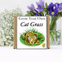 Gardening Gift. Grow Your Own Cat Grass Seeds Kit, thumbnail 2 of 6