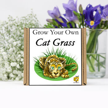 Gardening Gift. Grow Your Own Cat Grass Seeds Kit, 2 of 6