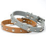 Skull And Crossbones Leather Dog Collar, thumbnail 1 of 8