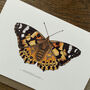 Illustrated Painted Lady Butterfly Card Blank Inside, thumbnail 3 of 6