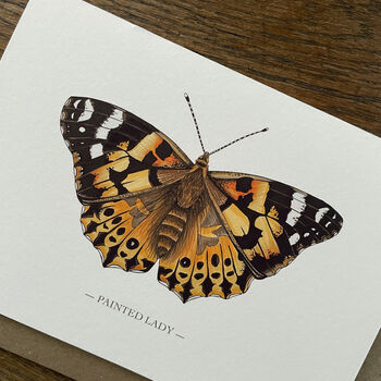 Illustrated Painted Lady Butterfly Card Blank Inside, 3 of 6