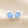 Blue Opal Dolphin Stud Earrings In Silver, thumbnail 2 of 4