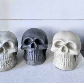 Handmade Decorative Skull Various Finishes, 2 of 3