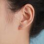 Sterling Silver Moonstone Planet Screw Back Earrings, thumbnail 2 of 11