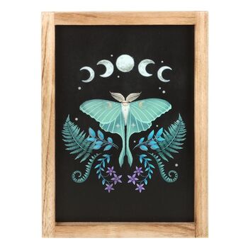 Luna Moth Wooden Framed Wall Art, 3 of 4