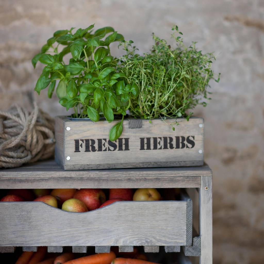 'Fresh Herbs' Box By all things Brighton beautiful