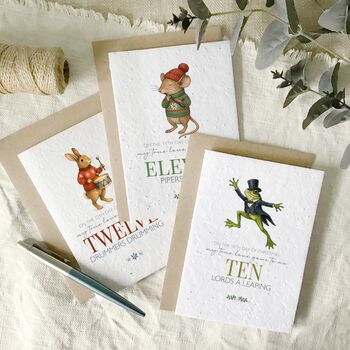Fun Twelve Days Of Christmas Multi Pack Of Cards, 4 of 4