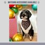 Candy Cane Christmas Dog Bandana, thumbnail 3 of 3