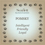 Pomsky Dog Personalised Silver Necklace, thumbnail 6 of 8