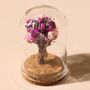 Mini Dried Flower Glass Dome, thumbnail 5 of 8