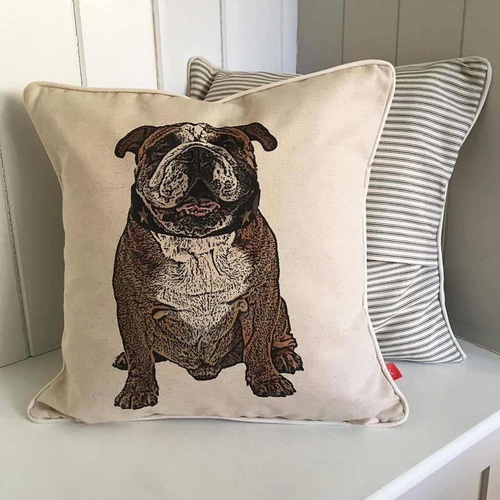 bulldog cushion