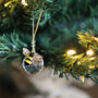 Mini Bee Decoration With Gift Bag, thumbnail 3 of 5