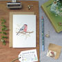 Bullfinch And Blossom Greetings Card, thumbnail 5 of 10