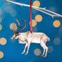 Reindeer Christmas Tree Decoration, thumbnail 1 of 4