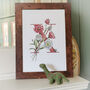 X Is For Xeranthemum Initial Print, Personalised, thumbnail 4 of 6