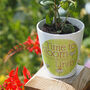 'Time To Bloom' Personalised Retirement Flower Pot Gift, thumbnail 1 of 5