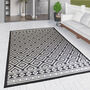 Moisture Resistant Rug For Indoor Or Outdoor, thumbnail 3 of 4