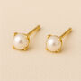 9ct Gold June Pearl Birthstone Stud Earrings, thumbnail 1 of 4