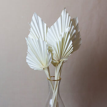 Bleached Dried Exotic Palm Spear Bunch, 3 of 5