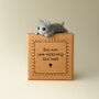 You Are Paw Sitively The Best Tiny Little Gifts Otto The Grey Cat, thumbnail 1 of 4