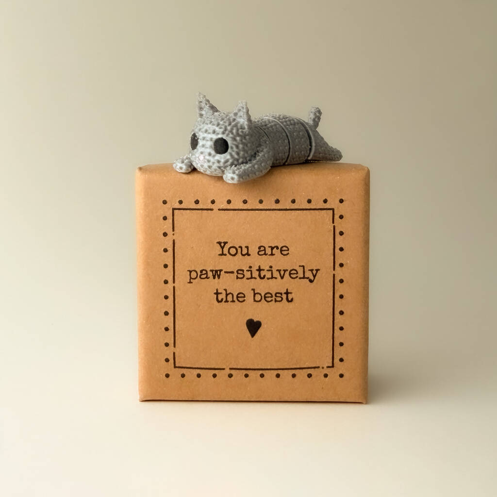 You Are Paw Sitively The Best Tiny Little Gifts Otto The Grey Cat, 1 of 4