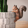 Brown Squirrel Pot Hanger, thumbnail 1 of 2