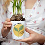 'Growing Together' Personalised Plant Pot Gift, thumbnail 1 of 2