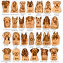 Personalised Deluxe Wood Dog Breed Christmas Decoration, thumbnail 3 of 12
