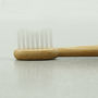 Truthbrush Plastic Free Bamboo Toothbrushes, thumbnail 12 of 12