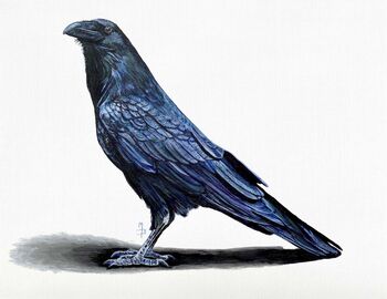 Raven, Giclee Print Of Original Painting, 2 of 3