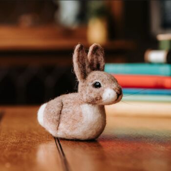 Baby Bunny Needle Felting Craft Kit, 2 of 3