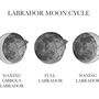 Labrador Moon Phase Cycle Panoramic Print, thumbnail 3 of 3