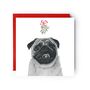 Pug Dog Under The Mistletoe Christmas Card, thumbnail 1 of 4