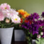Pink Potted Daisy Flowering Plant Artificial, thumbnail 4 of 5