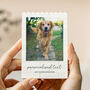 Personalised Christmas Photo Block For Pet Owner, thumbnail 6 of 10