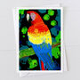 Macaw Greeting Card, thumbnail 1 of 2